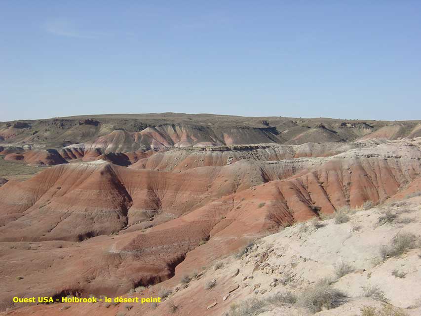 arizona - holbrook - painted dersert - le dsert peint